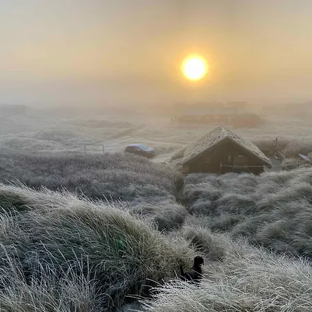 بيت للعطل Idyll In The Dunes Brovst