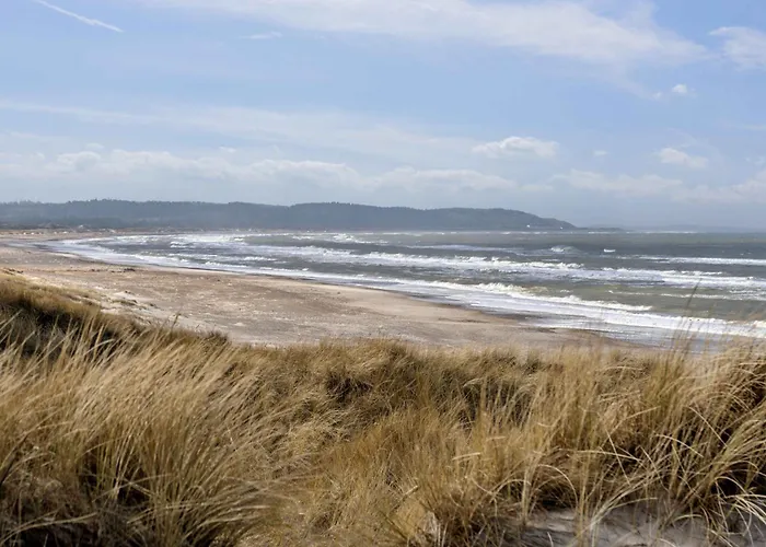 Idyll In The Dunes Brovst